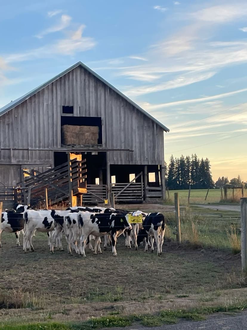 Ekhaya Meat Product 6